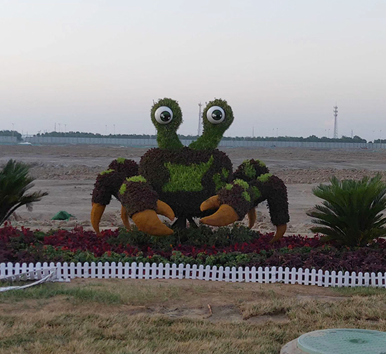 資陽五色草動物造型